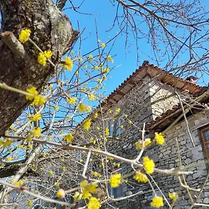 Bujtina Tusha Gasthuis Priska e Madhe